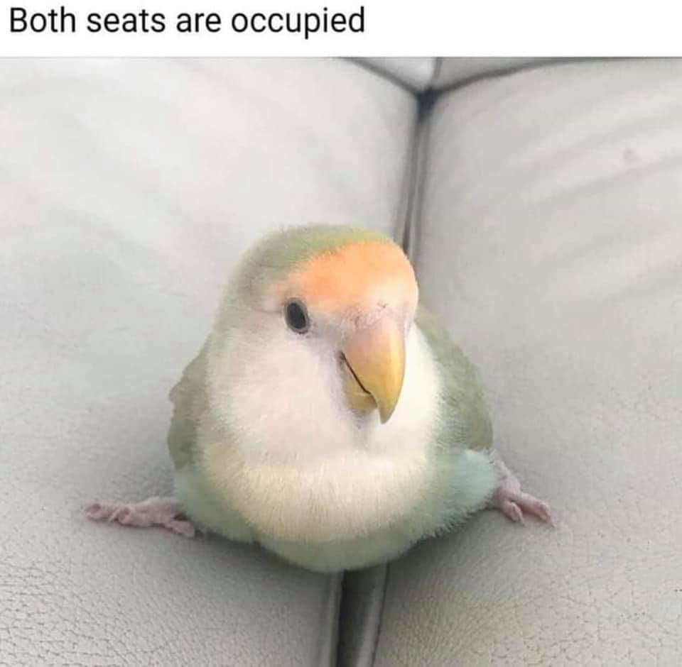 both seats are taken - Both seats are occupied
