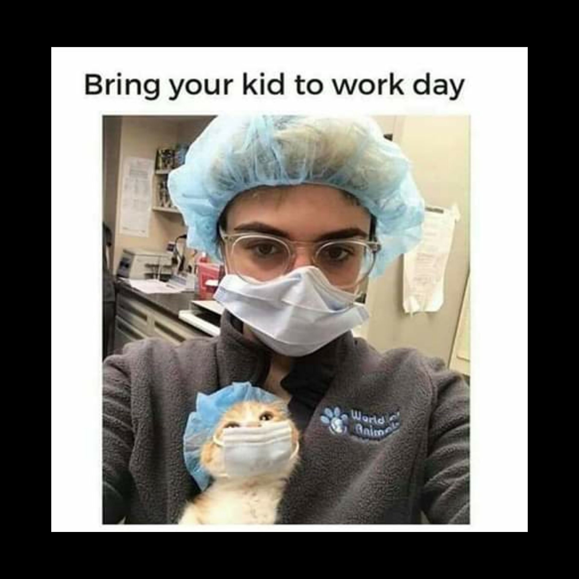cat working - Bring your kid to work day