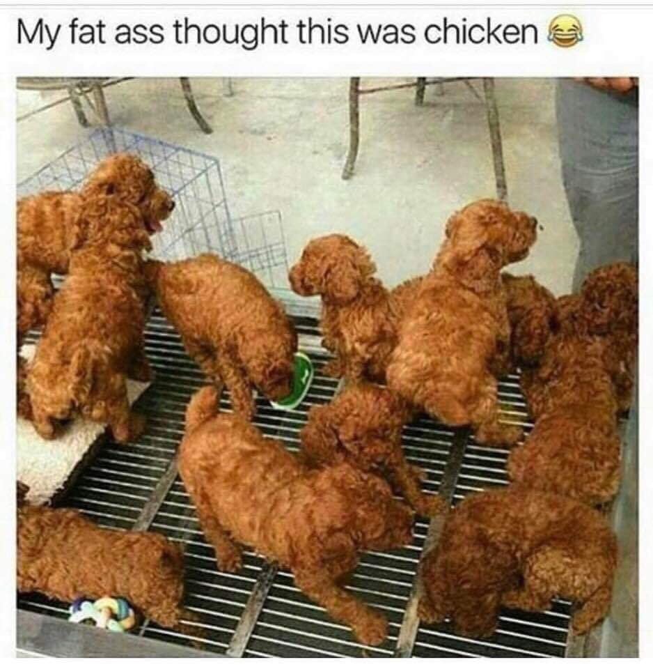 My fat ass thought this was chicken