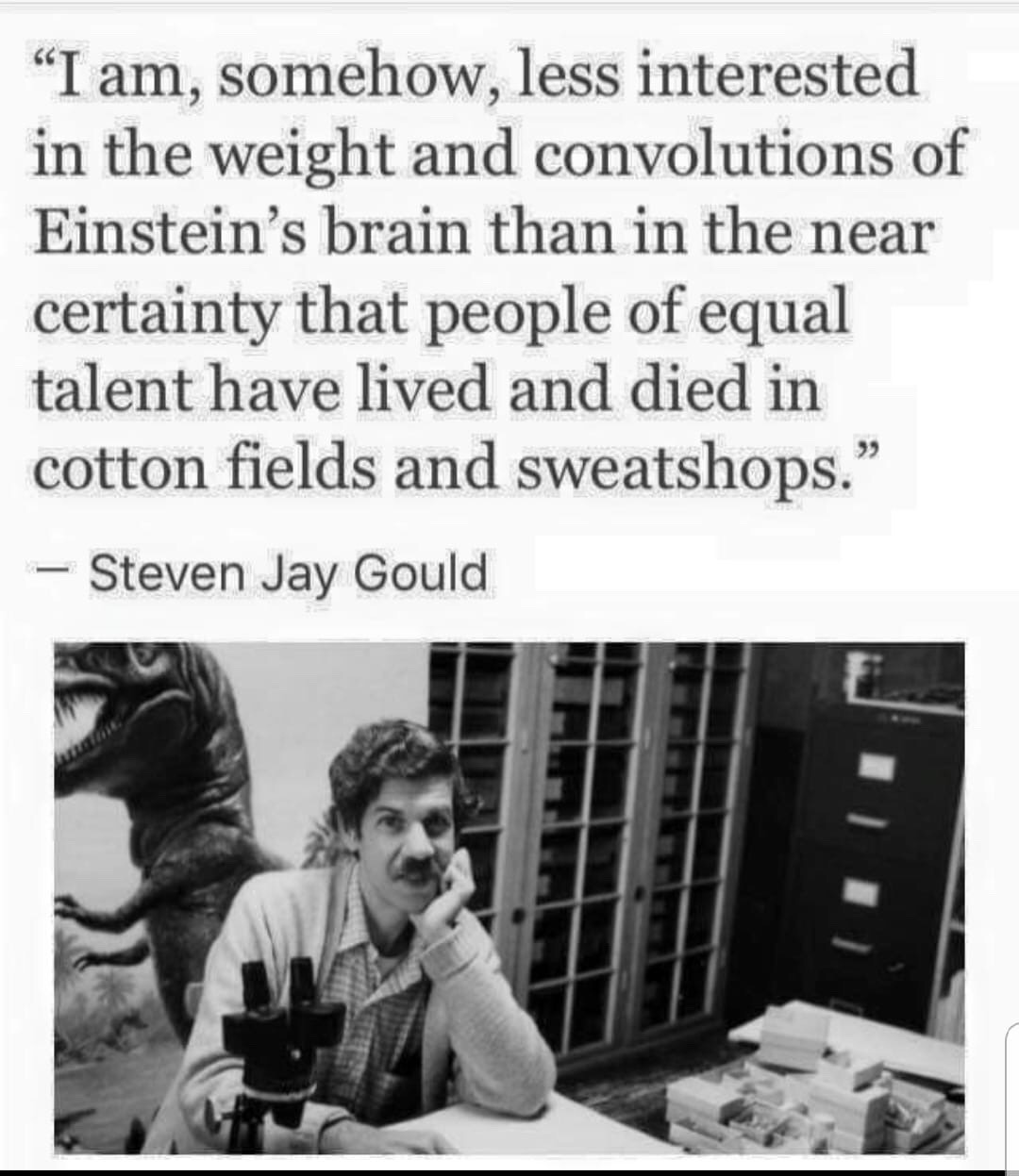 quotes - "I am, somehow, less interested in the weight and convolutions of Einstein's brain than in the near certainty that people of equal talent have lived and died in cotton fields and sweatshops." Steven Jay Gould