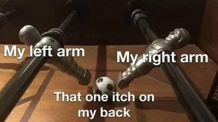 one itch on the back meme - My left arm My right arm That one itch on my back