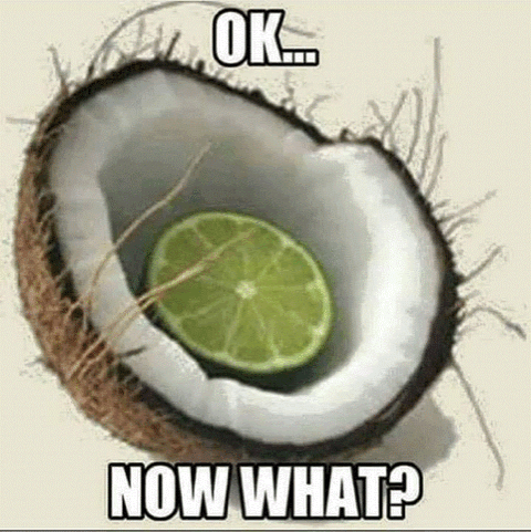 lime in the coconut meme - Ok. Now What?