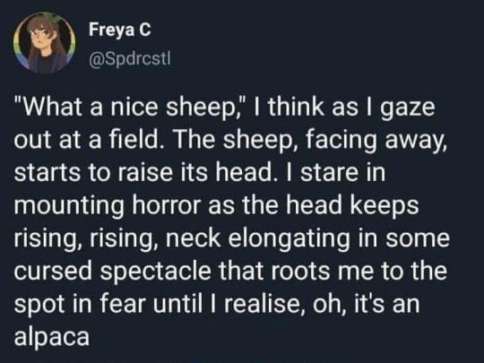 venting memes - aspdrcst! Freya C "What a nice sheep," I think as I gaze out at a field. The sheep, facing away, starts to raise its head. I stare in mounting horror as the head keeps rising, rising, neck elongating in some cursed spectacle that roots me 