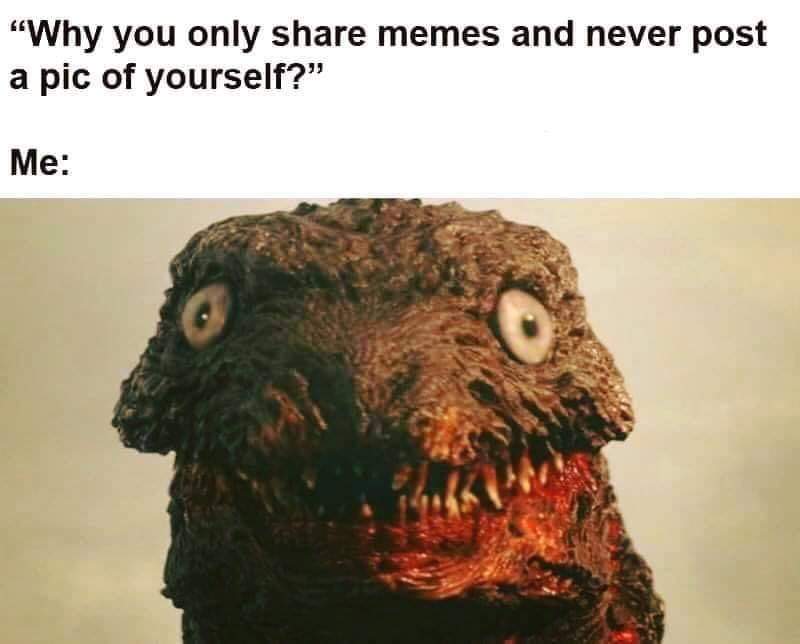 godzilla memes - "Why you only memes and never post a pic of yourself?" Me