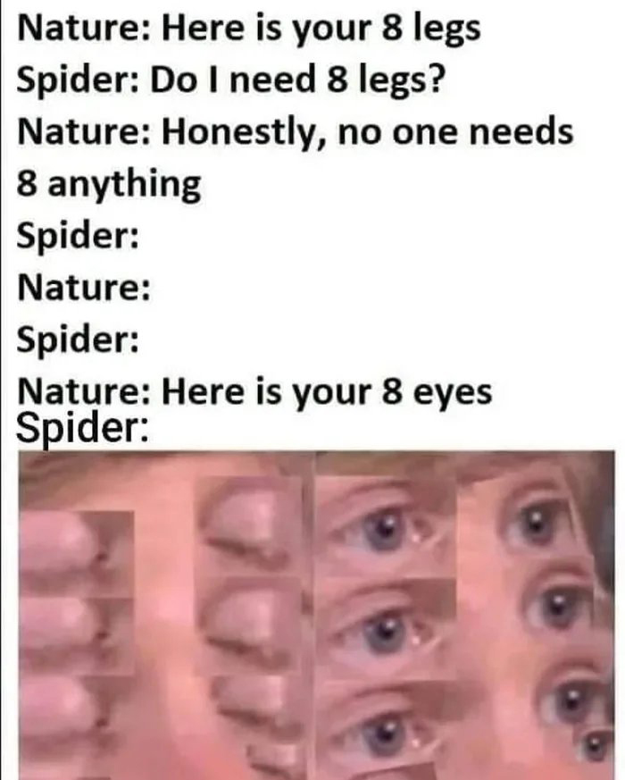 here is your 8 legs meme - Nature Here is your 8 legs Spider Do I need 8 legs? Nature Honestly, no one needs 8 anything Spider Nature Spider Nature Here is your 8 eyes Spider