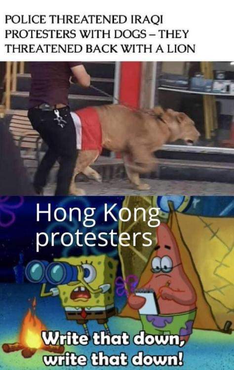 iraqi protesters lions - Police Threatened Iraqi Protesters With Dogs They Threatened Back With A Lion Hong Kong protesters Write that down, write that down!