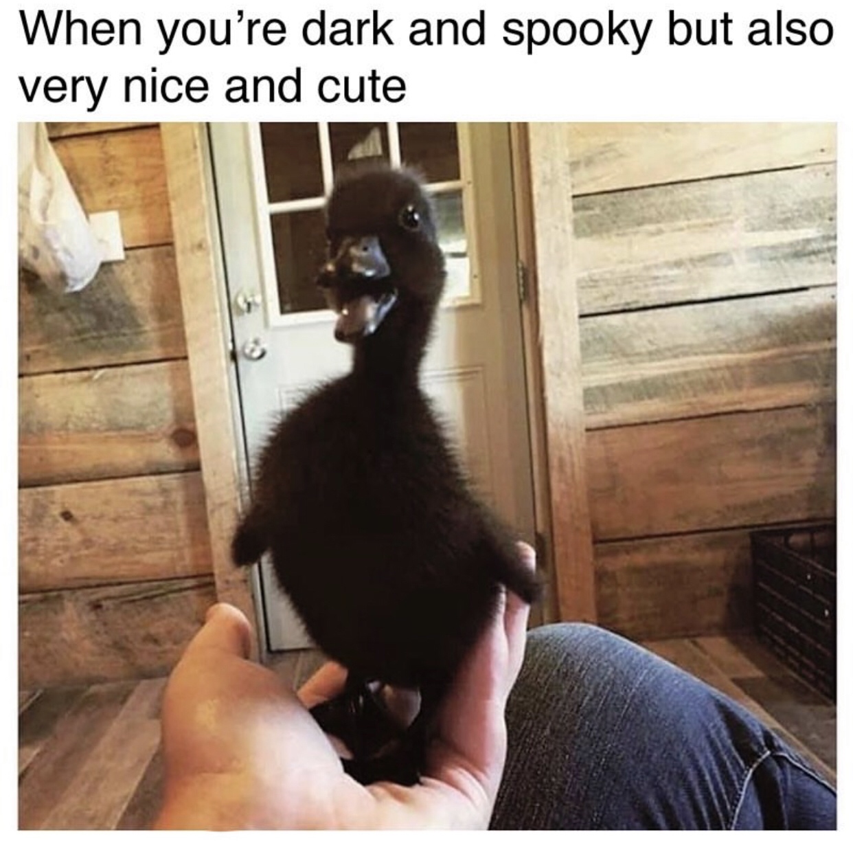 you re dark and spooky but also very nice and cute - When you're dark and spooky but also very nice and cute