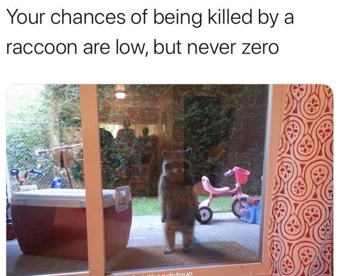 guardians of the galaxy funny - Your chances of being killed by a raccoon are low, but never zero detove