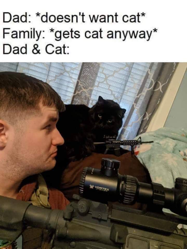 military - Dad doesn't want cat Family gets cat anyway Dad & Cat Vorte