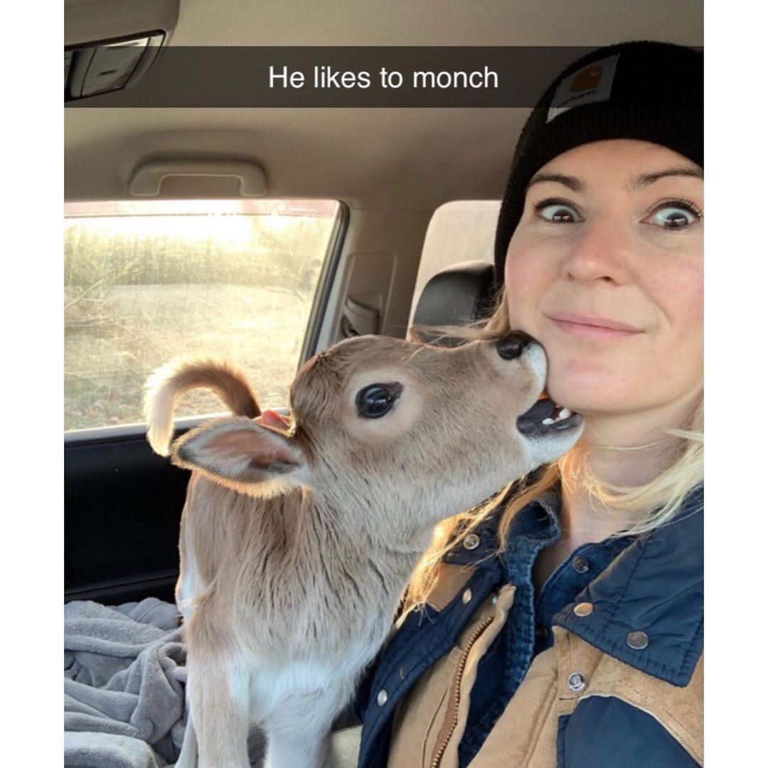 deer - He to monch