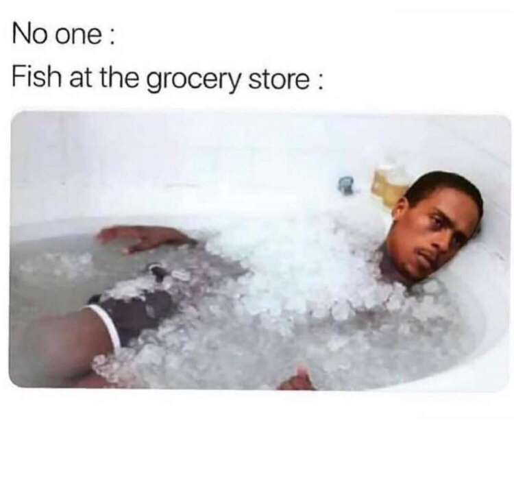 fish in grocery store meme - No one Fish at the grocery store