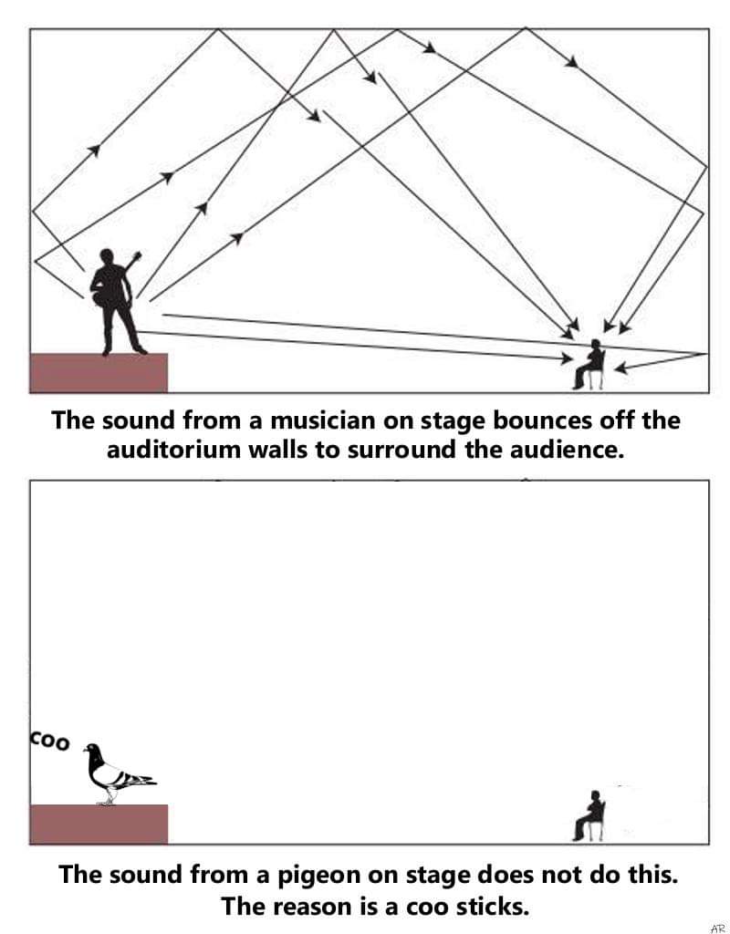 triangle - The sound from a musician on stage bounces off the auditorium walls to surround the audience. The sound from a pigeon on stage does not do this. The reason is a coo sticks.
