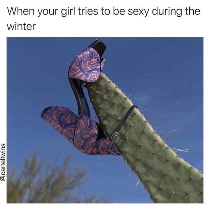 she cactus meme - When your girl tries to be sexy during the winter