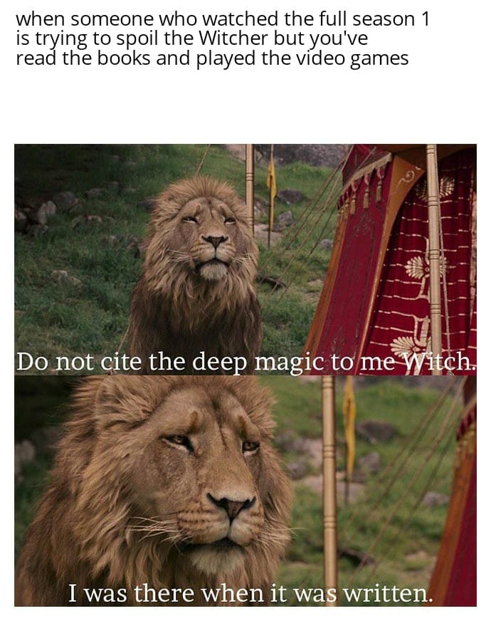 entj memes - when someone who watched the full season 1 is trying to spoil the Witcher but you've read the books and played the video games Do not cite the deep magic to me Witch. I was there when it was written.