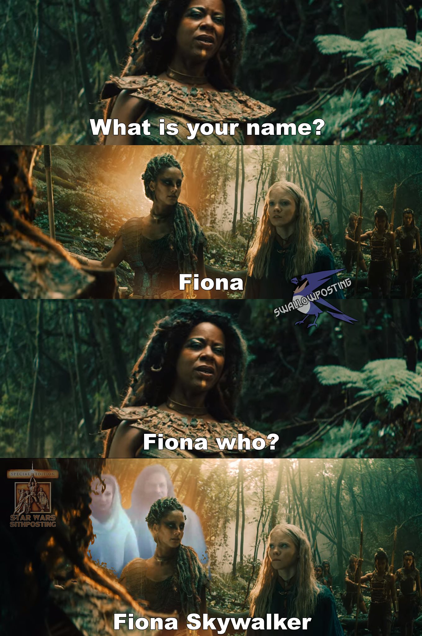 poster - What is your name? Fiona Posto Swat Fiona who? Fiona Skywalker