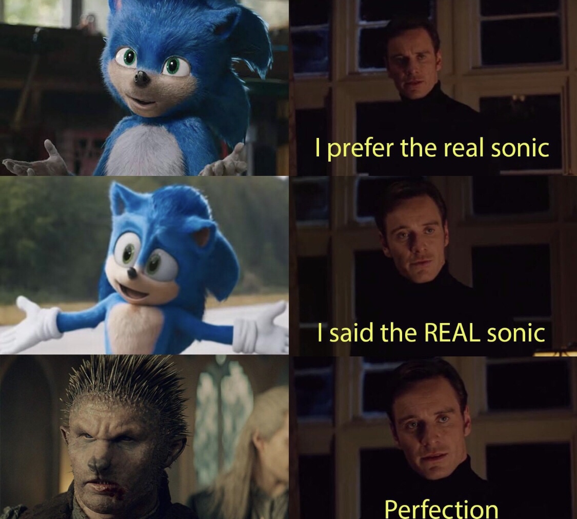 sonic witcher meme - I prefer the real sonic I said the Real sonic Perfection