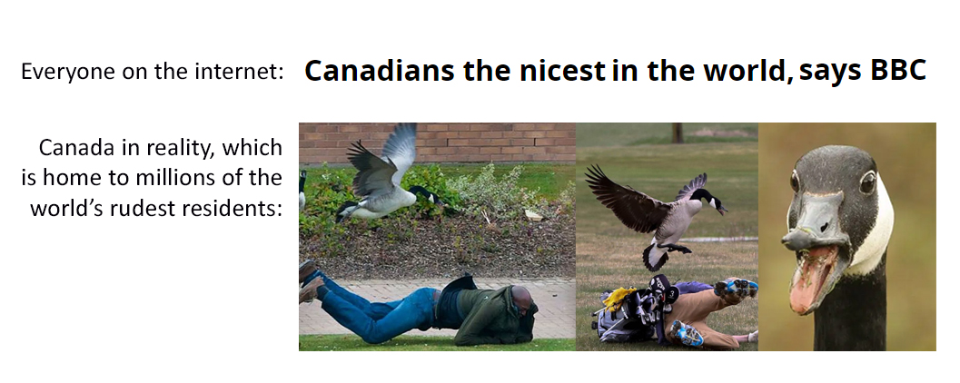 photo caption - Everyone on the internet Canadians the nicest in the world, says Bbc Canada in reality, which is home to millions of the world's rudest residents