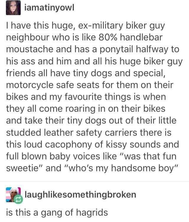 gang of hagrids - iamatinyowl Thave this huge, exmilitary biker guy neighbour who is 80% handlebar moustache and has a ponytail halfway to his ass and him and all his huge biker guy friends all have tiny dogs and special, motorcycle safe seats for them on