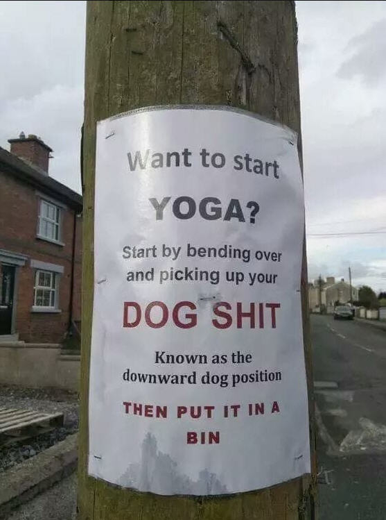 funny brighton - Want to start Yoga? Start by bending over and picking up your Dog Shit Known as the downward dog position Then Put It In A Bin