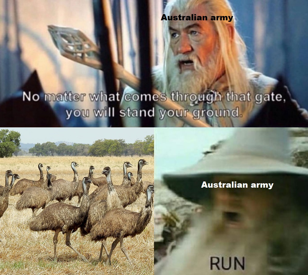 wow shaman memes - Australian army No matter what comes through that gate, you will stand your ground. Australian army Run
