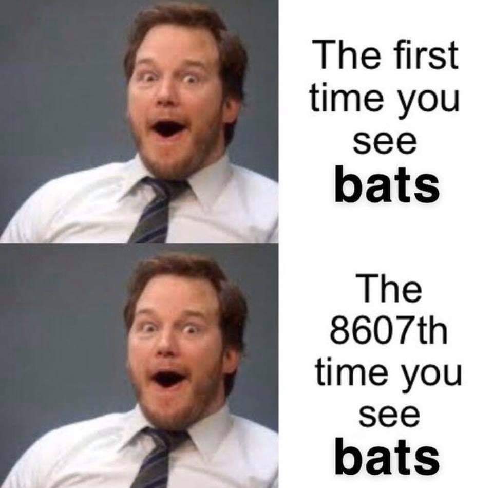 mandalorian meme - The first time you see bats The 8607th time you see bats