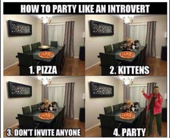 party like an introvert meme - How To Party An Introvert 1. Pizza 2. Kittens 3. Don'T Invite Anyone 4.Party