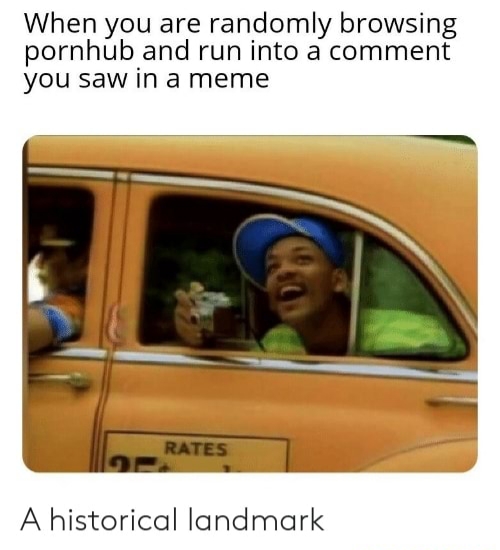 funny meme - When you are randomly browsing pornhub and run into a comment you saw in a meme Rates A historical landmark