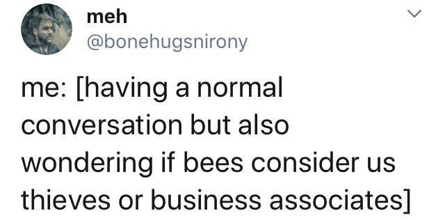 gossip girl quotes - meh me having a normal conversation but also wondering if bees consider us thieves or business associates
