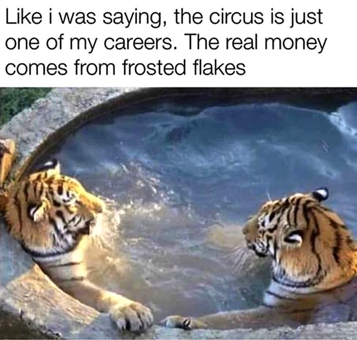 tiger frosted flakes meme - i was saying, the circus is just one of my careers. The real money comes from frosted flakes