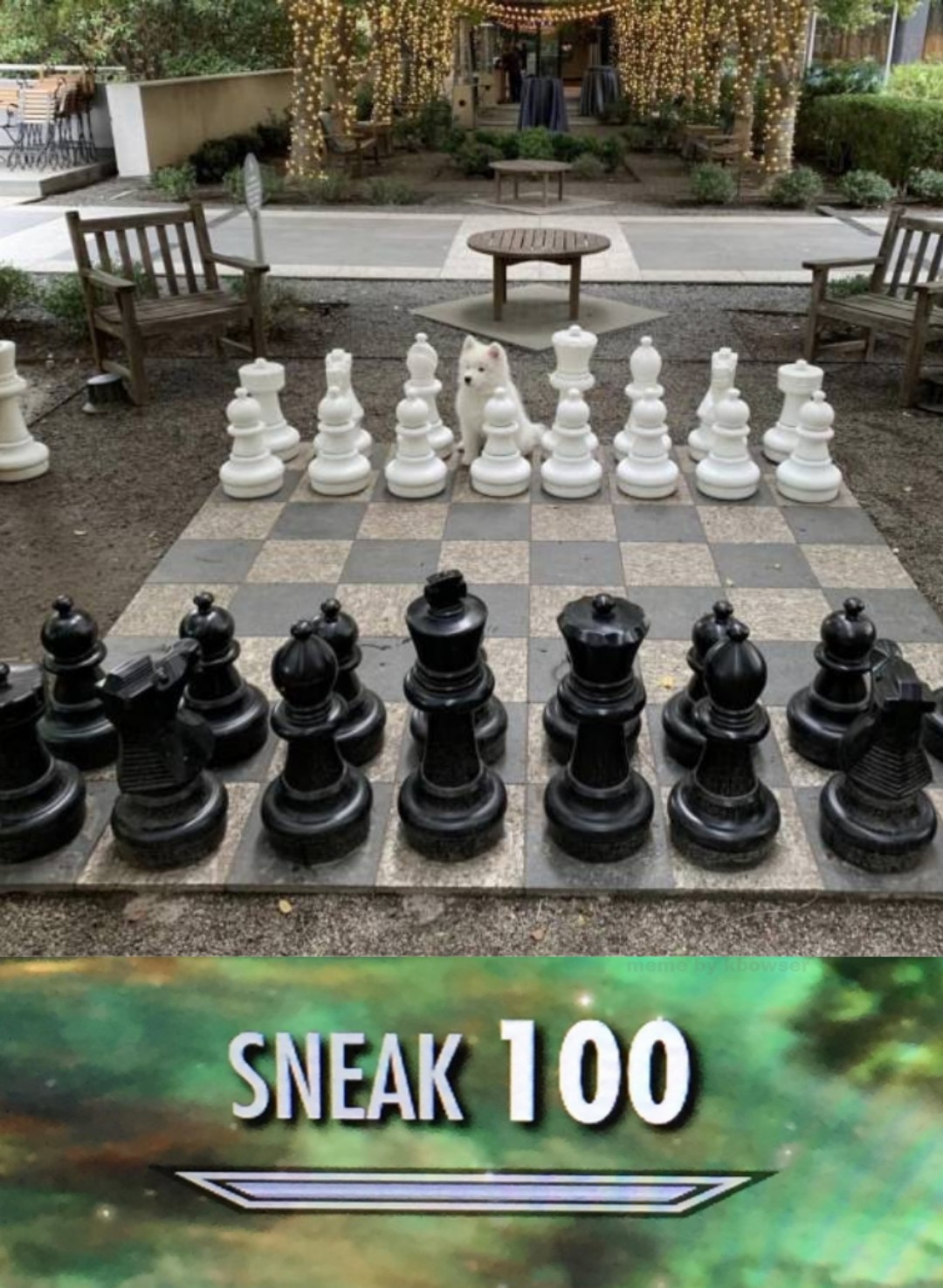 chess - Editur Sneak 100