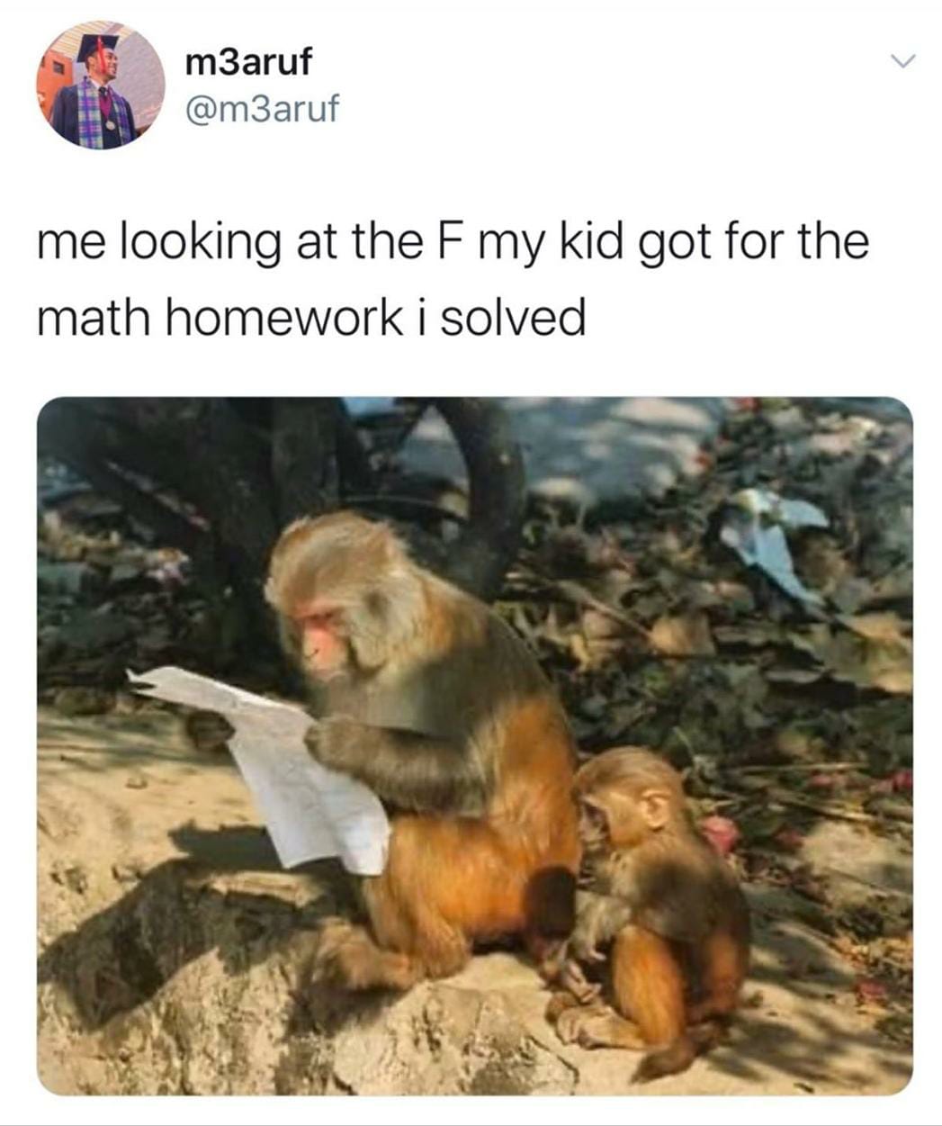 monkey funny exam - Cik m3aruf m3aruf me looking at the Fmy kid got for the math homework i solved