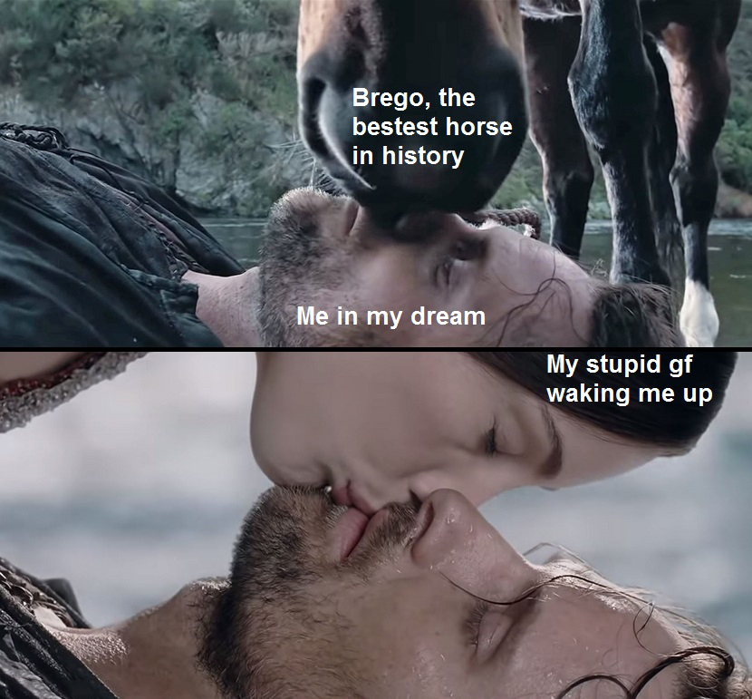 aragorn and arwen - Brego, the bestest horse in history Me in my dream My stupid gf waking me up