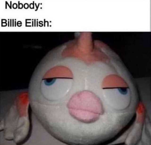 billie eilish meme - Nobody Billie Eilish