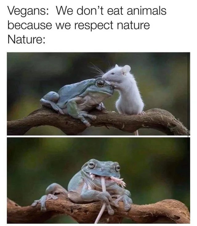 Vegans We don't eat animals because we respect nature Nature