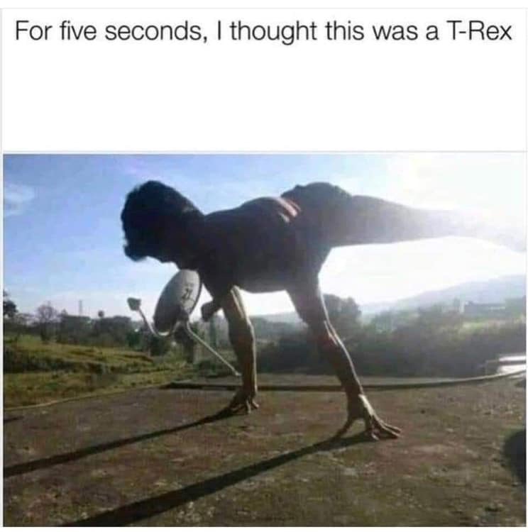 5 seconds i thought - For five seconds, I thought this was a TRex