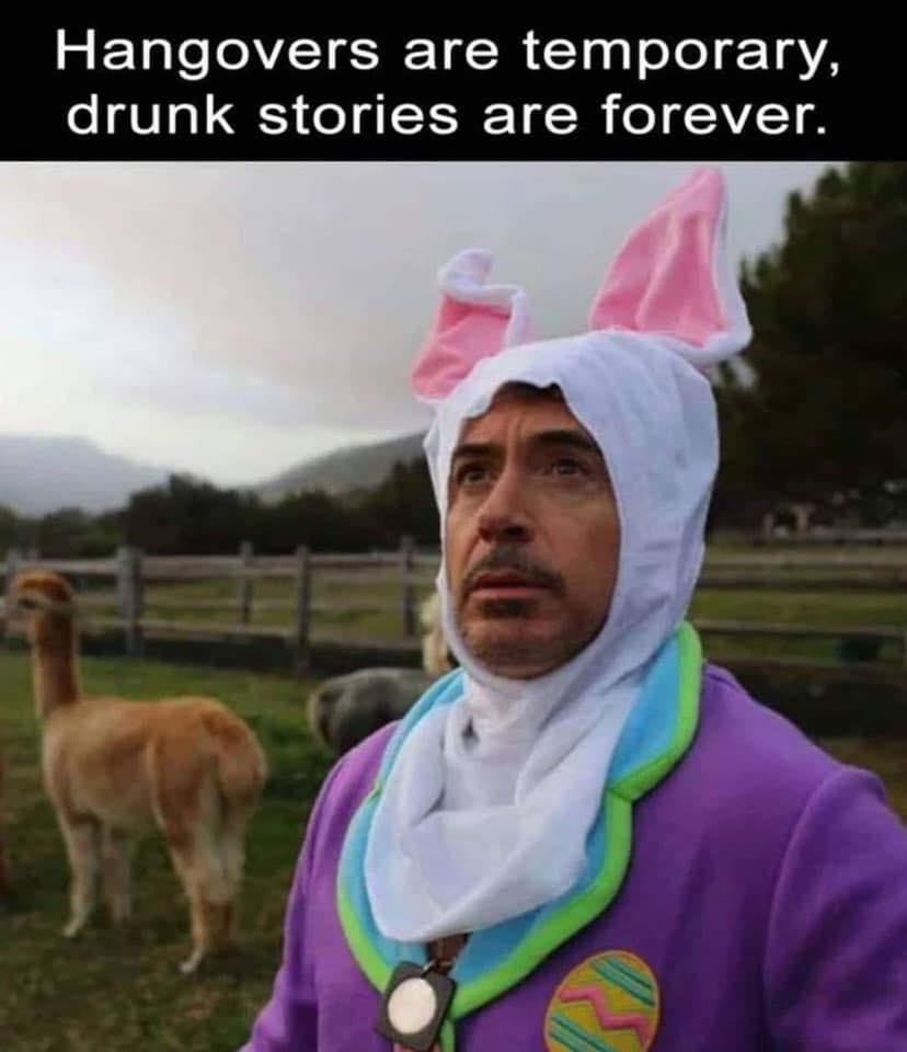hangovers are temporary drunk stories are forever - Hangovers are temporary, drunk stories are forever.