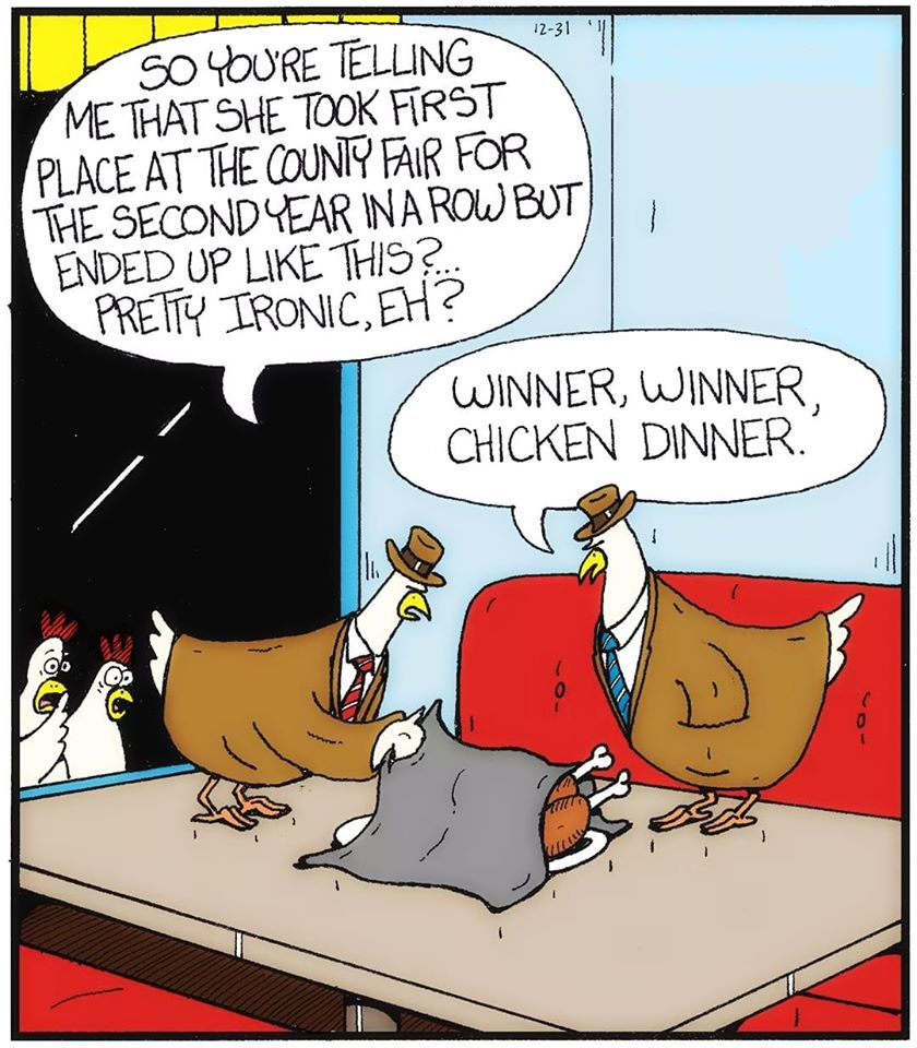 cartoon - So You'Re Telling Me That She Took First Place At The County Fair For The Second Year In A Row But Ended Up This? Pretty Ironic, Eh? Winner, Winner. Chicken Dinner o