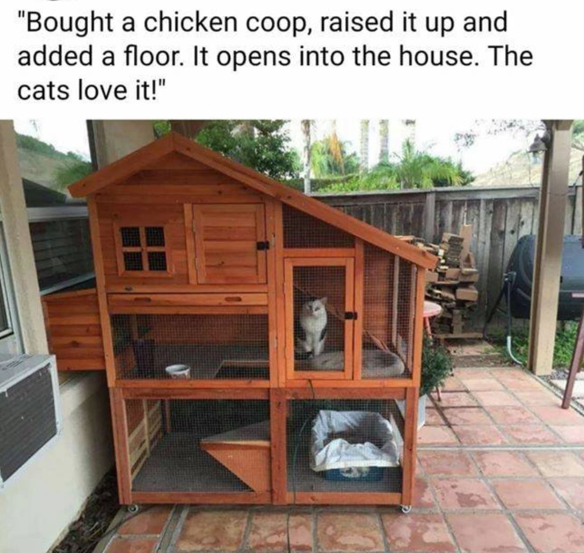 outdoor cat house plans - "Bought a chicken coop, raised it up and added a floor. It opens into the house. The cats love it!"
