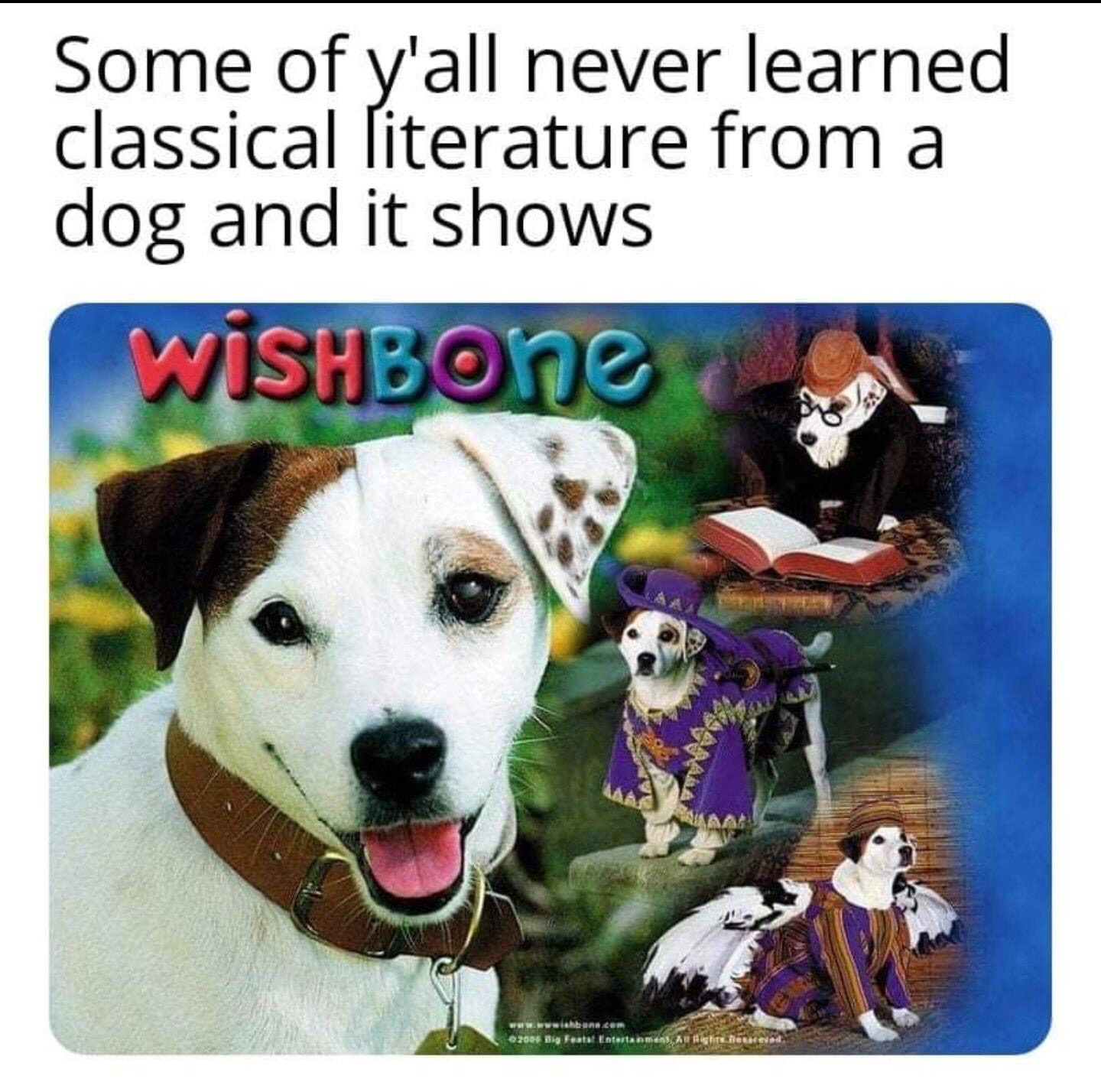 wishbone dog meme - Some of y'all never learned classical literature from a dog and it shows Wishbone Orce 2005 Featut Entertasme, gh