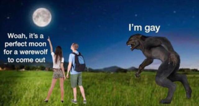 Internet meme - I'm gay Woah, it's a perfect moon for a werewolf to come out