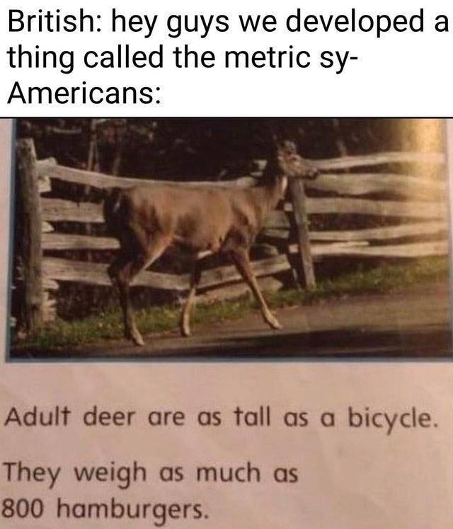 americans will measure with anything but the metric system - British hey guys we developed a thing called the metric sy Americans Adult deer are as tall as a bicycle. They weigh as much as 800 hamburgers.