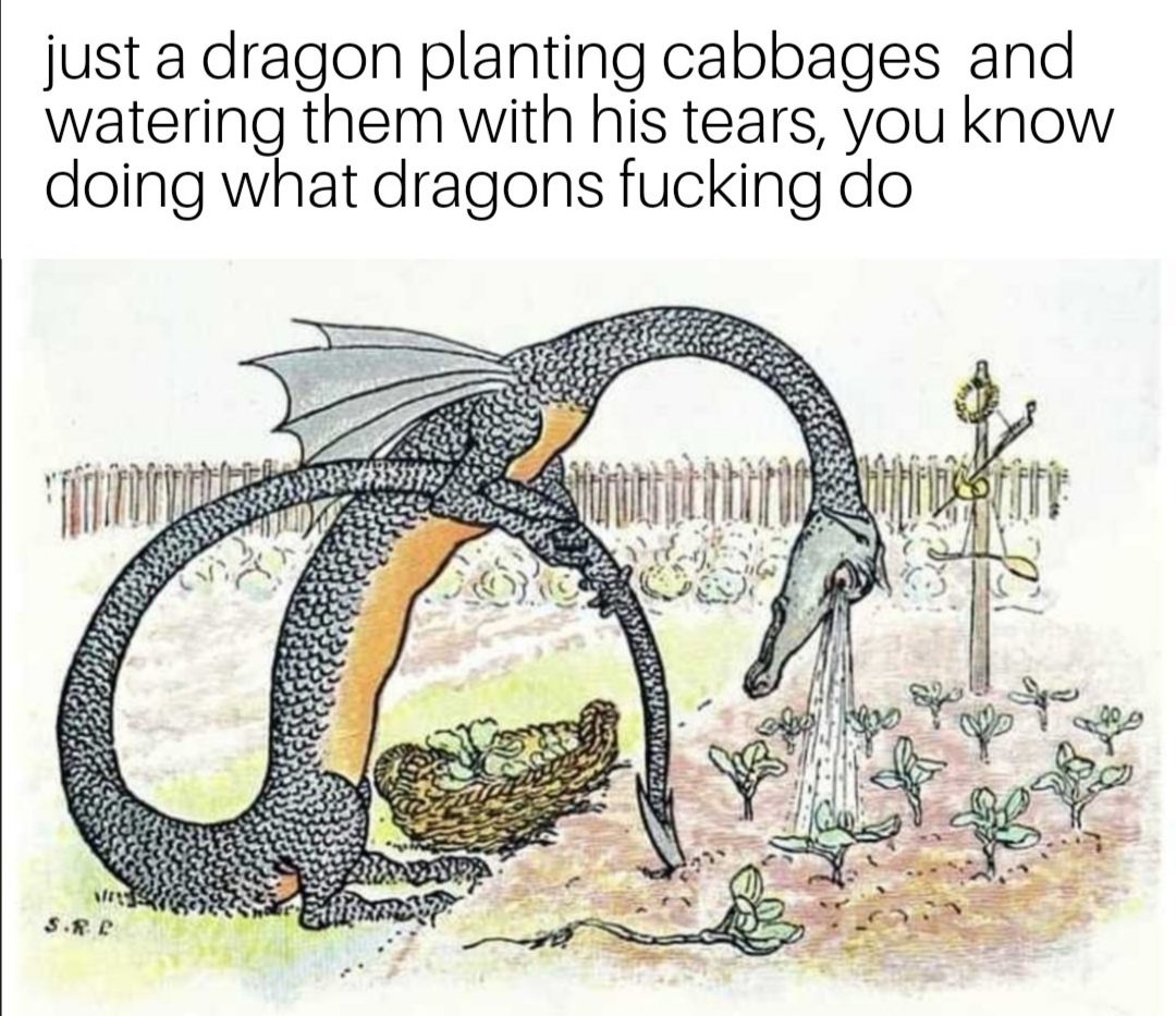 cartoon - just a dragon planting cabbages and watering them with his tears, you know doing what dragons fucking do Tercomwws Sifre