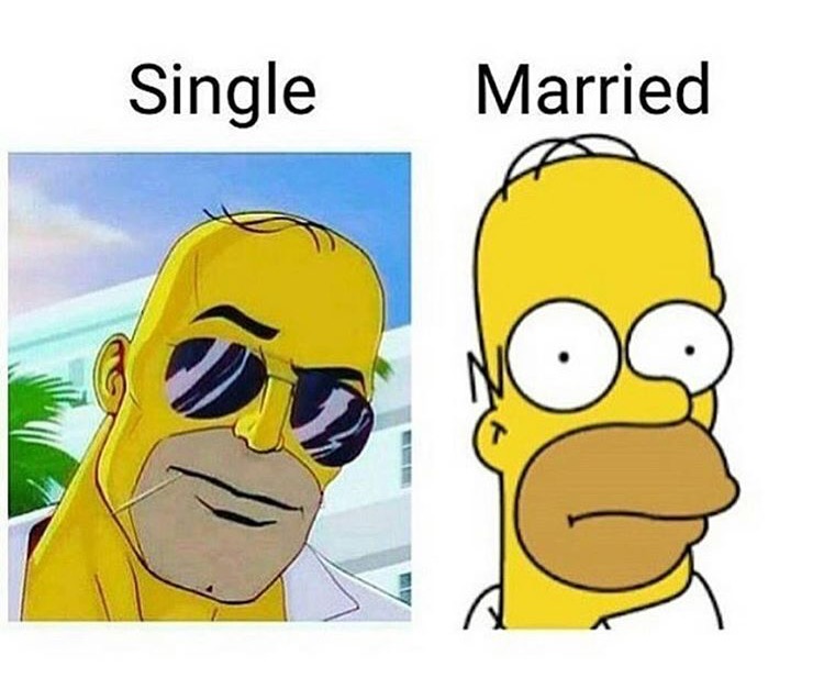 homer simpson - Single Married