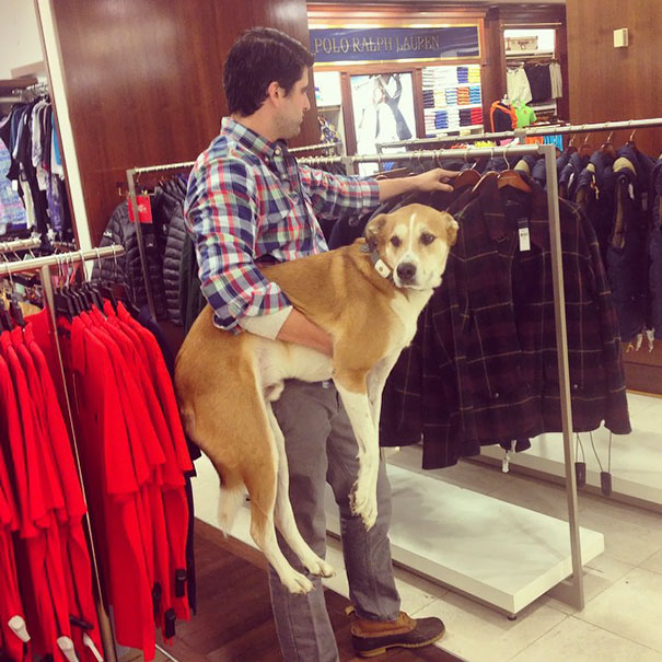 if men shopped with their dogs - Polo Ralph Lauren