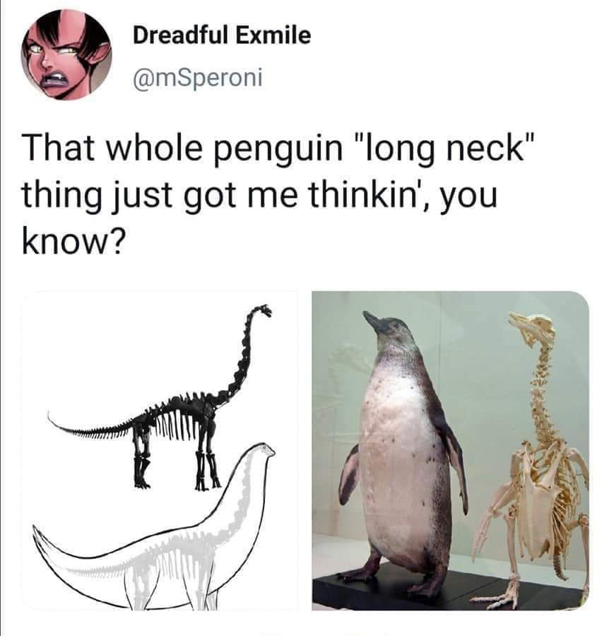 penguin dinosaur meme - Dreadful Exmile That whole penguin "long neck" thing just got me thinkin', you know?