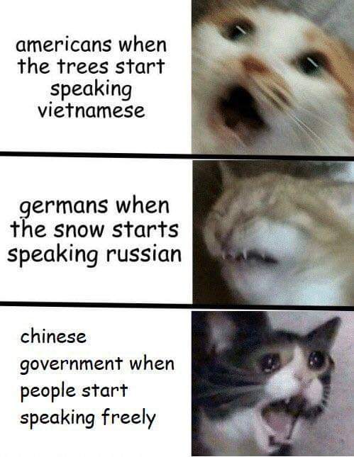 snow starts speaking finnish - americans when the trees start speaking vietnamese germans when the snow starts Speaking russian chinese government when people start speaking freely