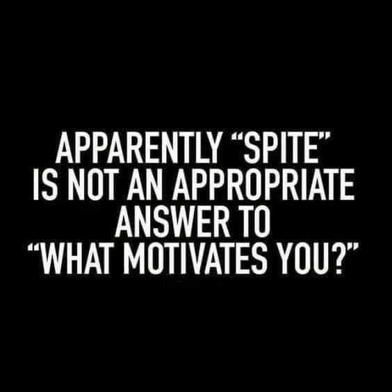 motivation spite quotes - Apparently Spite Is Not An Appropriate Answer To What Motivates You?"