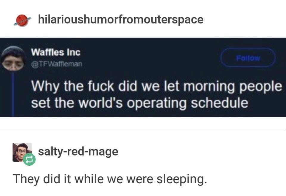 qoutes about me - hilarioushumorfromouterspace Waffles Inc Why the fuck did we let morning people set the world's operating schedule saltyredmage They did it while we were sleeping.