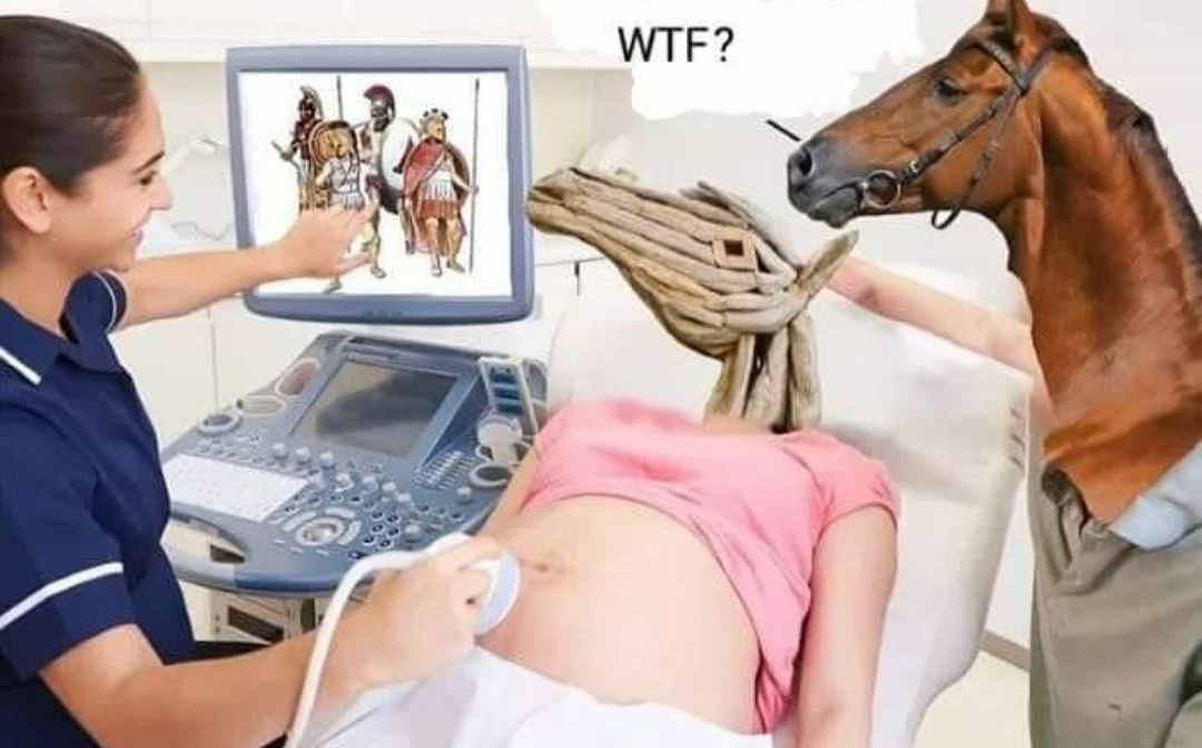 trojan horse meme - Wtf?