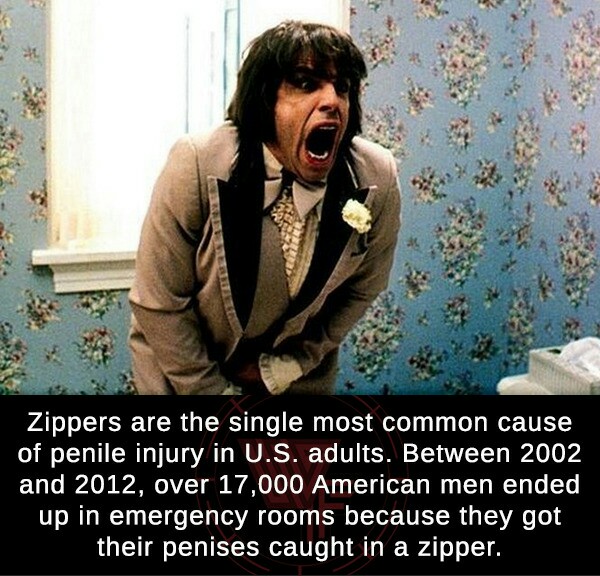 ben stiller zipper there's something about mary - Zippers are the single most common cause of penile injury in U.S. adults. Between 2002 and 2012, over 17,000 American men ended up in emergency rooms because they got their penises caught in a zipper.